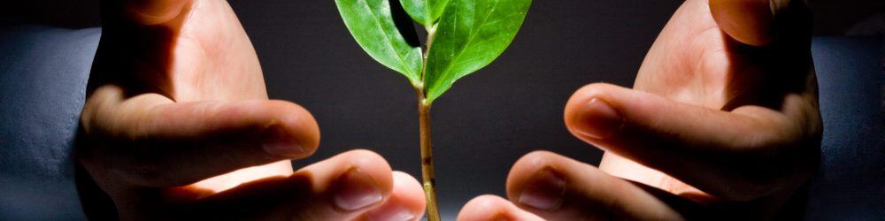 Photo,Of,Green,Plant,Between,Male,Hands,On,A,Black